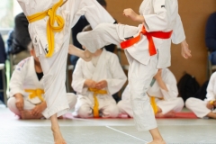 20240505-STAGEENFANTS-BABY-2564