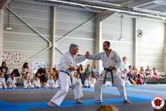 STAGE-ENFANTS-7-06-26-11