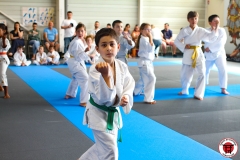 STAGE-ENFANTS-7-06-26-14