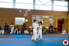 STAGE-ENFANTS-7-06-26-17