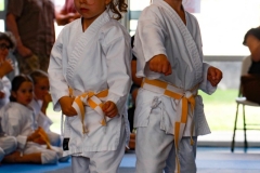 STAGE-ENFANTS-7-06-26-29