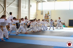 STAGE-ENFANTS-7-06-26-3