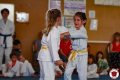 STAGE-ENFANTS-7-06-26-31