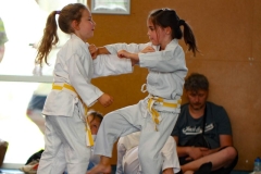 STAGE-ENFANTS-7-06-26-32