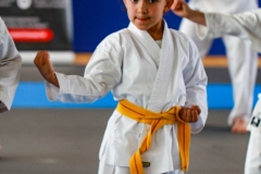 STAGE-ENFANTS-7-06-26-54