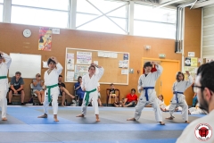STAGE-ENFANTS-7-06-26-61
