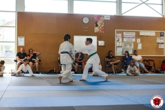 STAGE-ENFANTS-7-06-26-65