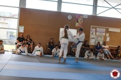 STAGE-ENFANTS-7-06-26-66