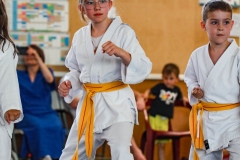 STAGE-ENFANTS-7-06-26-67