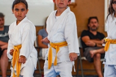 STAGE-ENFANTS-7-06-26-68