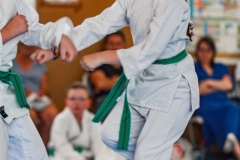 STAGE-ENFANTS-7-06-26-81