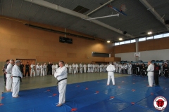 YAMATOKAN-MULTI-DISCIPLINES-138