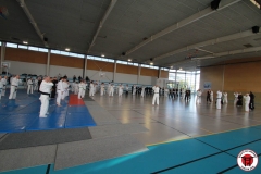 YAMATOKAN-MULTI-DISCIPLINES-142