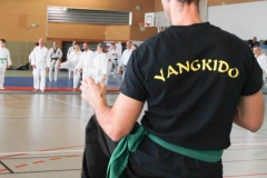 YAMATOKAN-MULTI-DISCIPLINES-145
