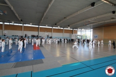 YAMATOKAN-MULTI-DISCIPLINES-149