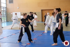YAMATOKAN-MULTI-DISCIPLINES-161