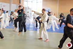 YAMATOKAN-MULTI-DISCIPLINES-163