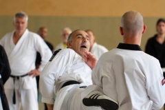 YAMATOKAN-MULTI-DISCIPLINES-169