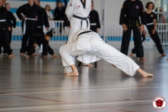 YAMATOKAN-MULTI-DISCIPLINES-17