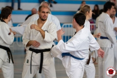 YAMATOKAN-MULTI-DISCIPLINES-171
