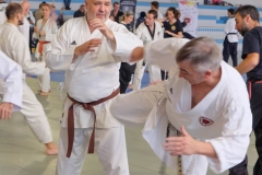 YAMATOKAN-MULTI-DISCIPLINES-186