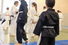 YAMATOKAN-MULTI-DISCIPLINES-196