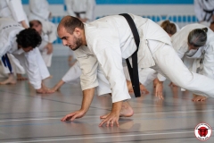 YAMATOKAN-MULTI-DISCIPLINES-20