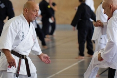 YAMATOKAN-MULTI-DISCIPLINES-221
