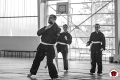 YAMATOKAN-MULTI-DISCIPLINES-246