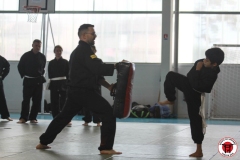 YAMATOKAN-MULTI-DISCIPLINES-254