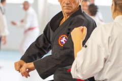 YAMATOKAN-MULTI-DISCIPLINES-273