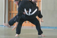 YAMATOKAN-MULTI-DISCIPLINES-276
