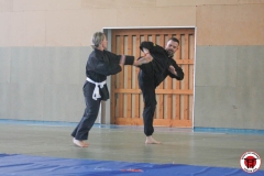 YAMATOKAN-MULTI-DISCIPLINES-278