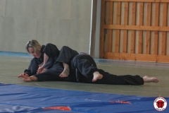 YAMATOKAN-MULTI-DISCIPLINES-279