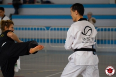 YAMATOKAN-MULTI-DISCIPLINES-281