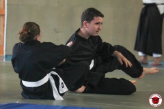 YAMATOKAN-MULTI-DISCIPLINES-286