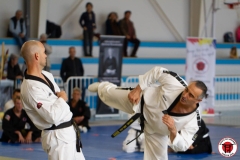 YAMATOKAN-MULTI-DISCIPLINES-287