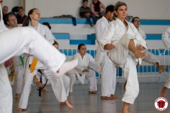 YAMATOKAN-MULTI-DISCIPLINES-29