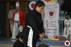 YAMATOKAN-MULTI-DISCIPLINES-291