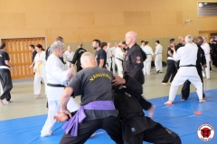 YAMATOKAN-MULTI-DISCIPLINES-30