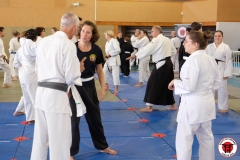 YAMATOKAN-MULTI-DISCIPLINES-31