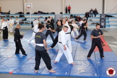 YAMATOKAN-MULTI-DISCIPLINES-313
