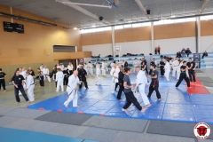 YAMATOKAN-MULTI-DISCIPLINES-314