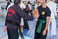 YAMATOKAN-MULTI-DISCIPLINES-327