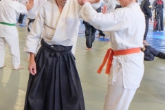 YAMATOKAN-MULTI-DISCIPLINES-331