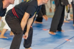 YAMATOKAN-MULTI-DISCIPLINES-343