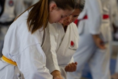 YAMATOKAN-MULTI-DISCIPLINES-368