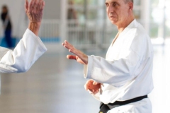 YAMATOKAN-MULTI-DISCIPLINES-383