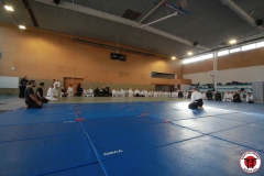 YAMATOKAN-MULTI-DISCIPLINES-389