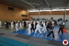 YAMATOKAN-MULTI-DISCIPLINES-390